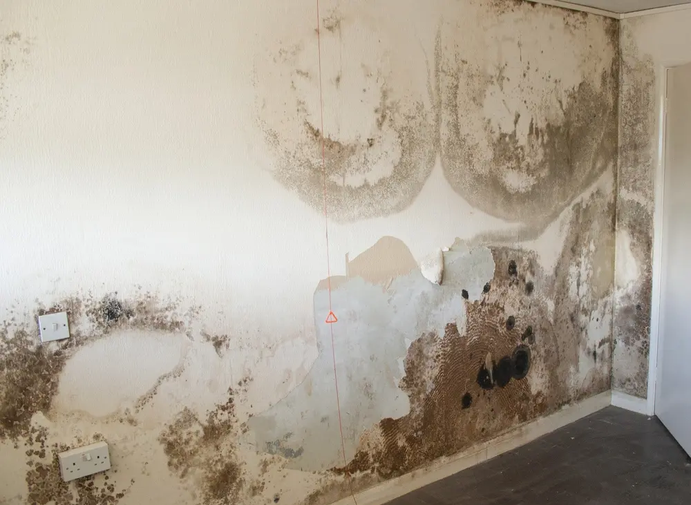 Fix Penetrating Damp in Blackburn