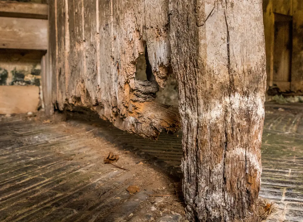 Fix Wet Rot in Blackburn